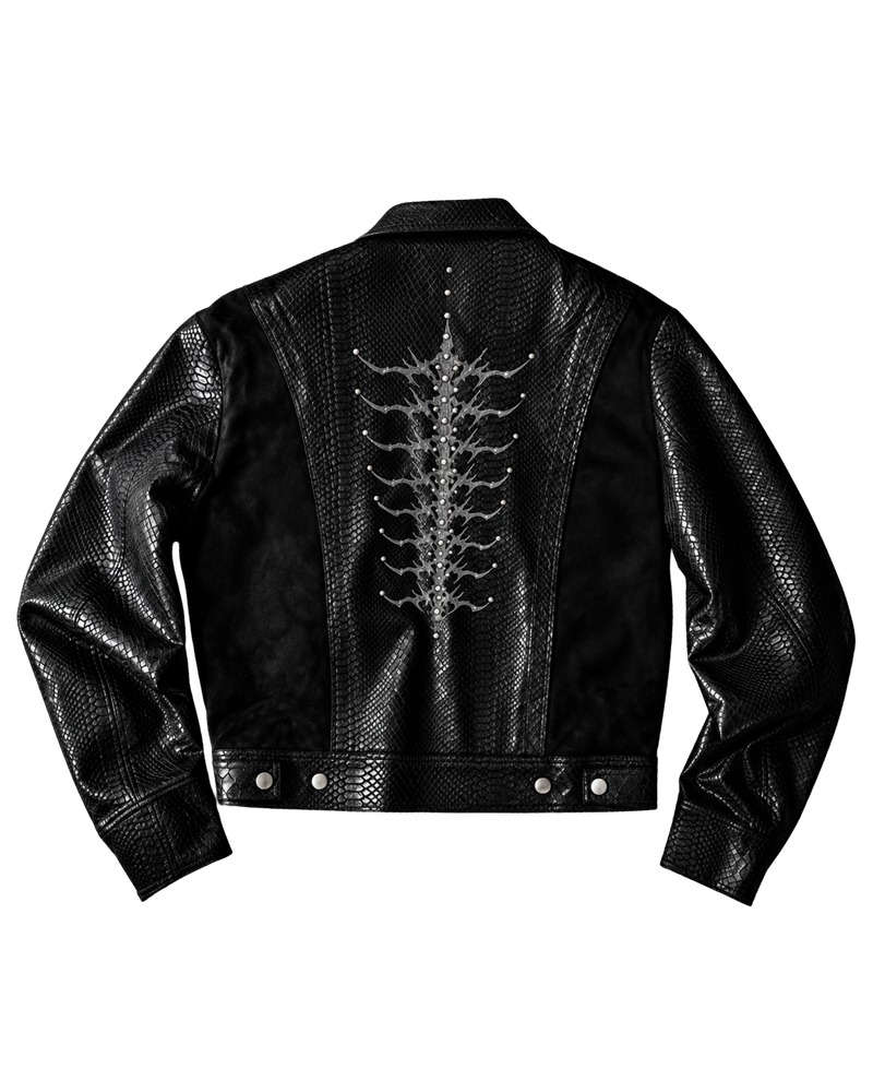 DEVIL’s SPINE